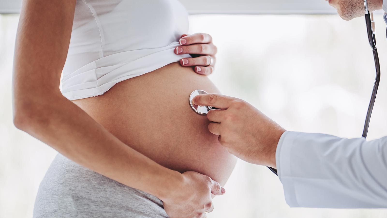 Alimentación variada